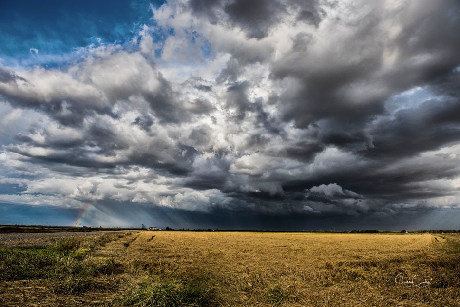 Click to View Larger