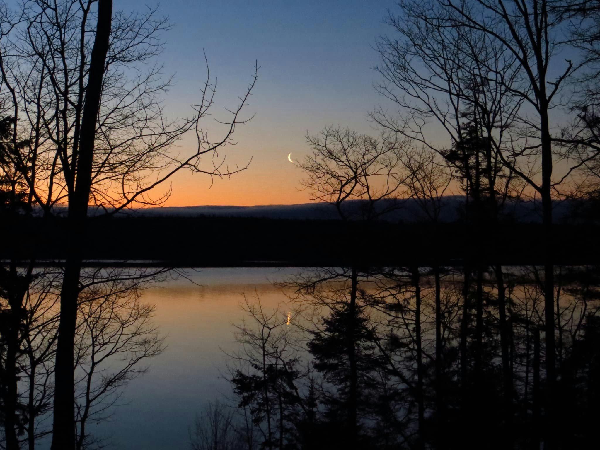 Click to View Larger