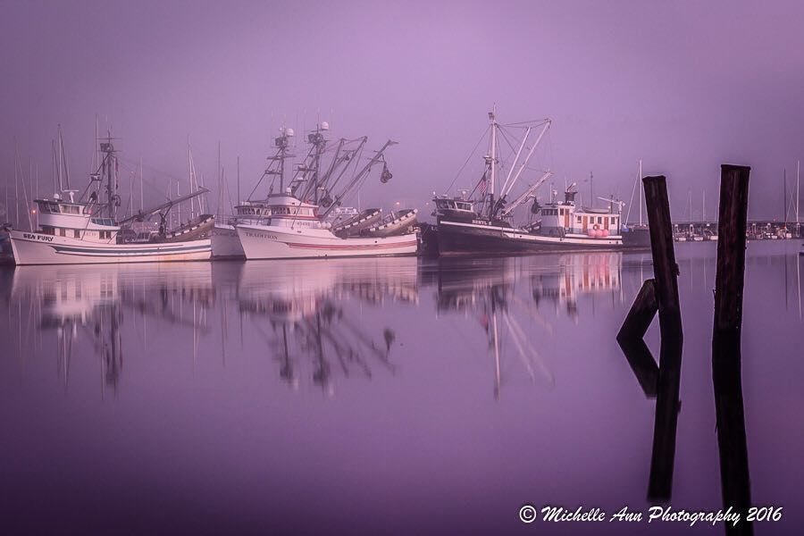 Click to View Larger