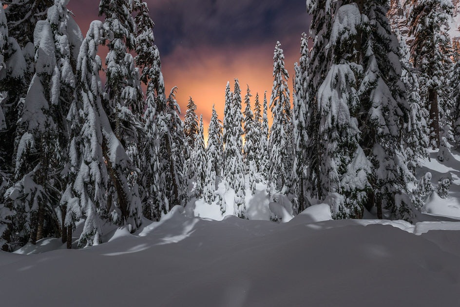 Click to View Larger