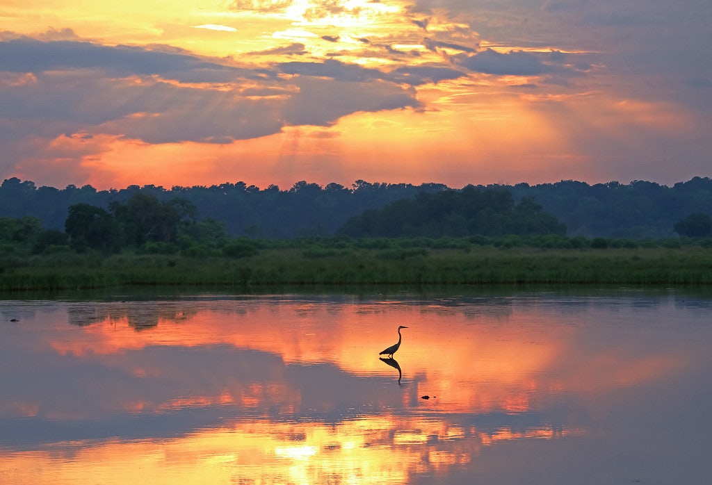 View More About This URL