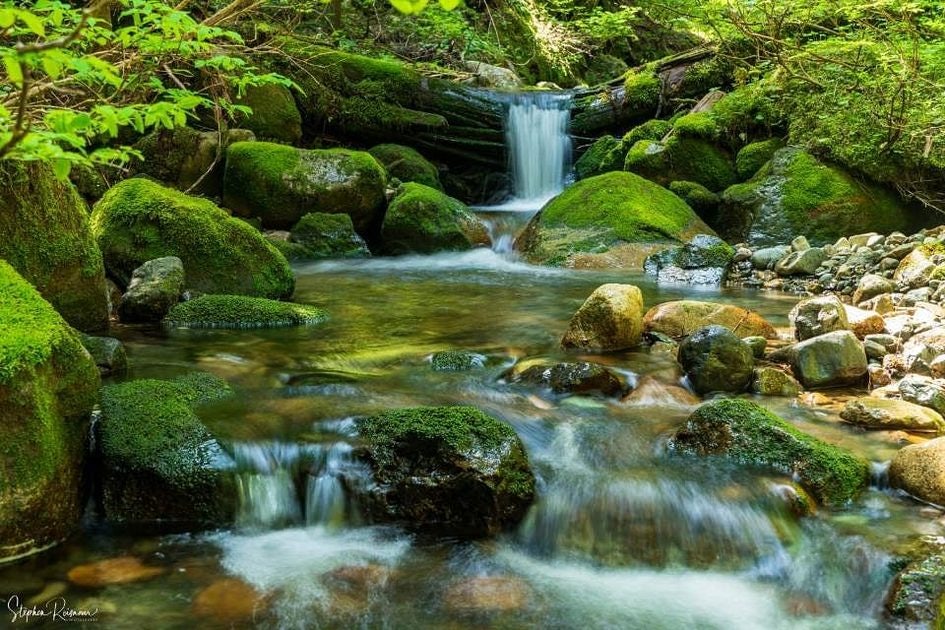 Click to View Larger