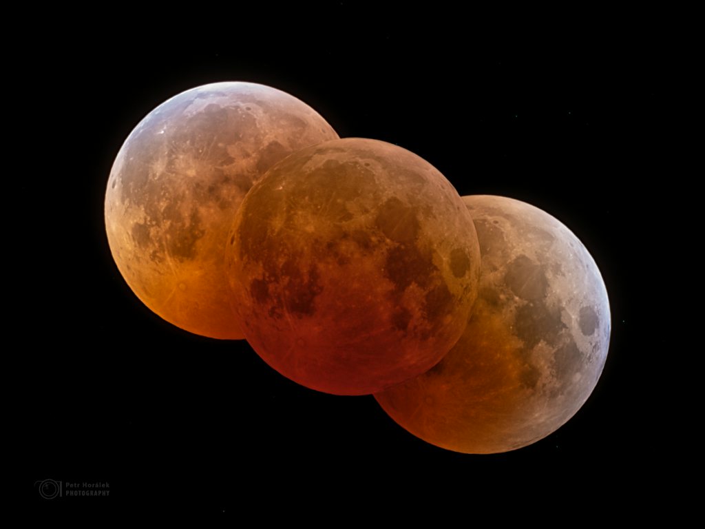 Click to View Larger