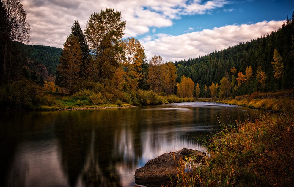 Click to View Larger