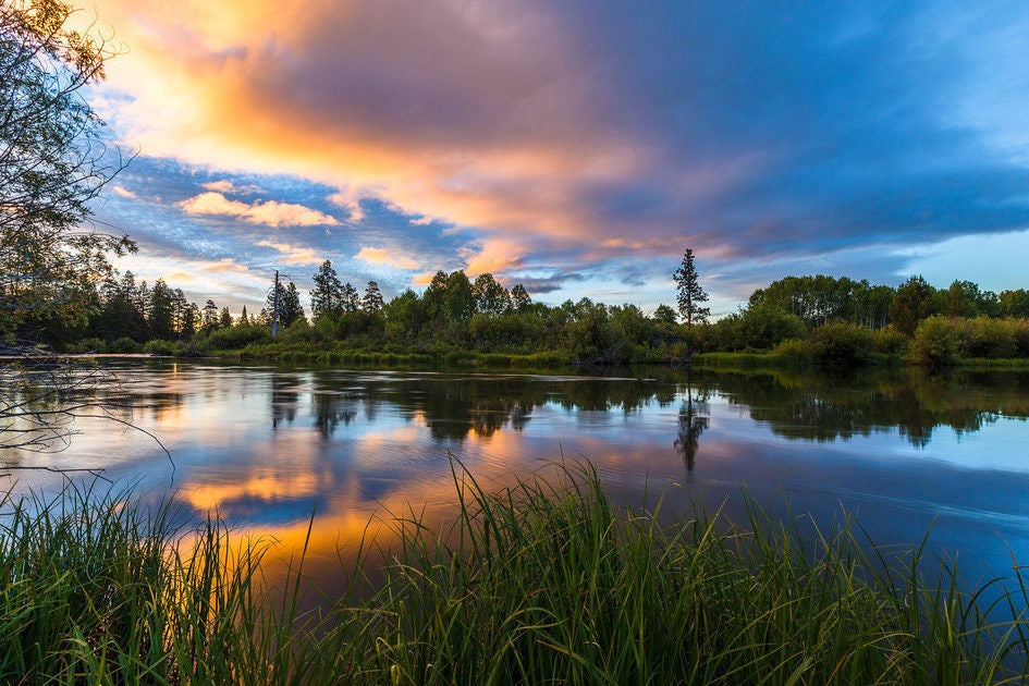 Click to View Larger