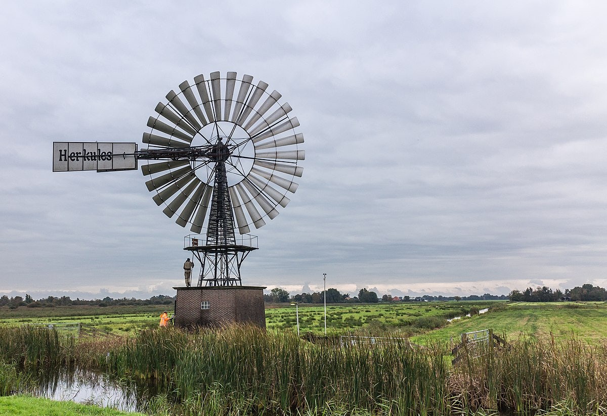 Click to View Larger