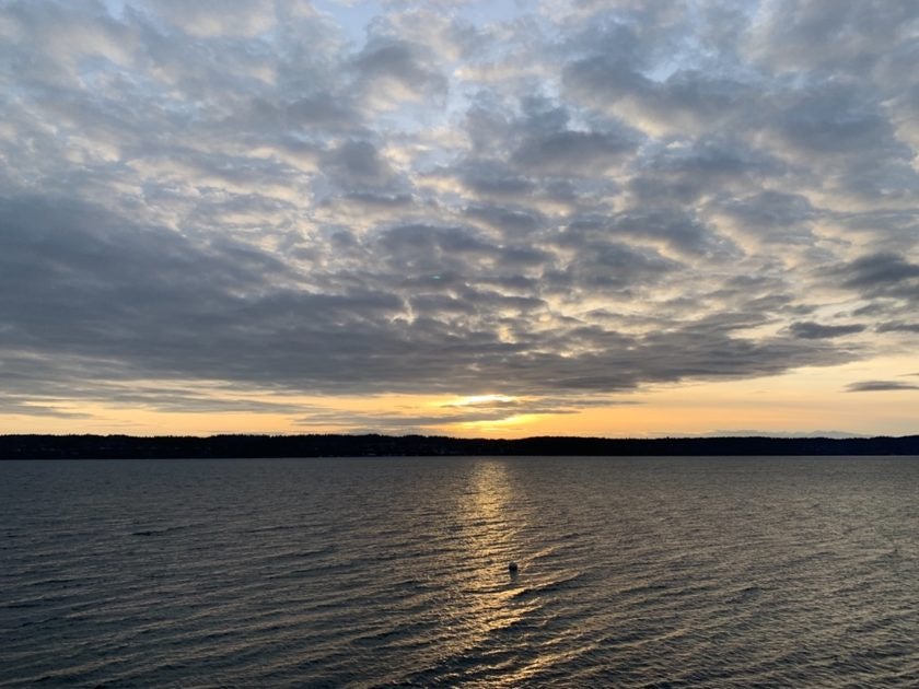 Click to View Larger