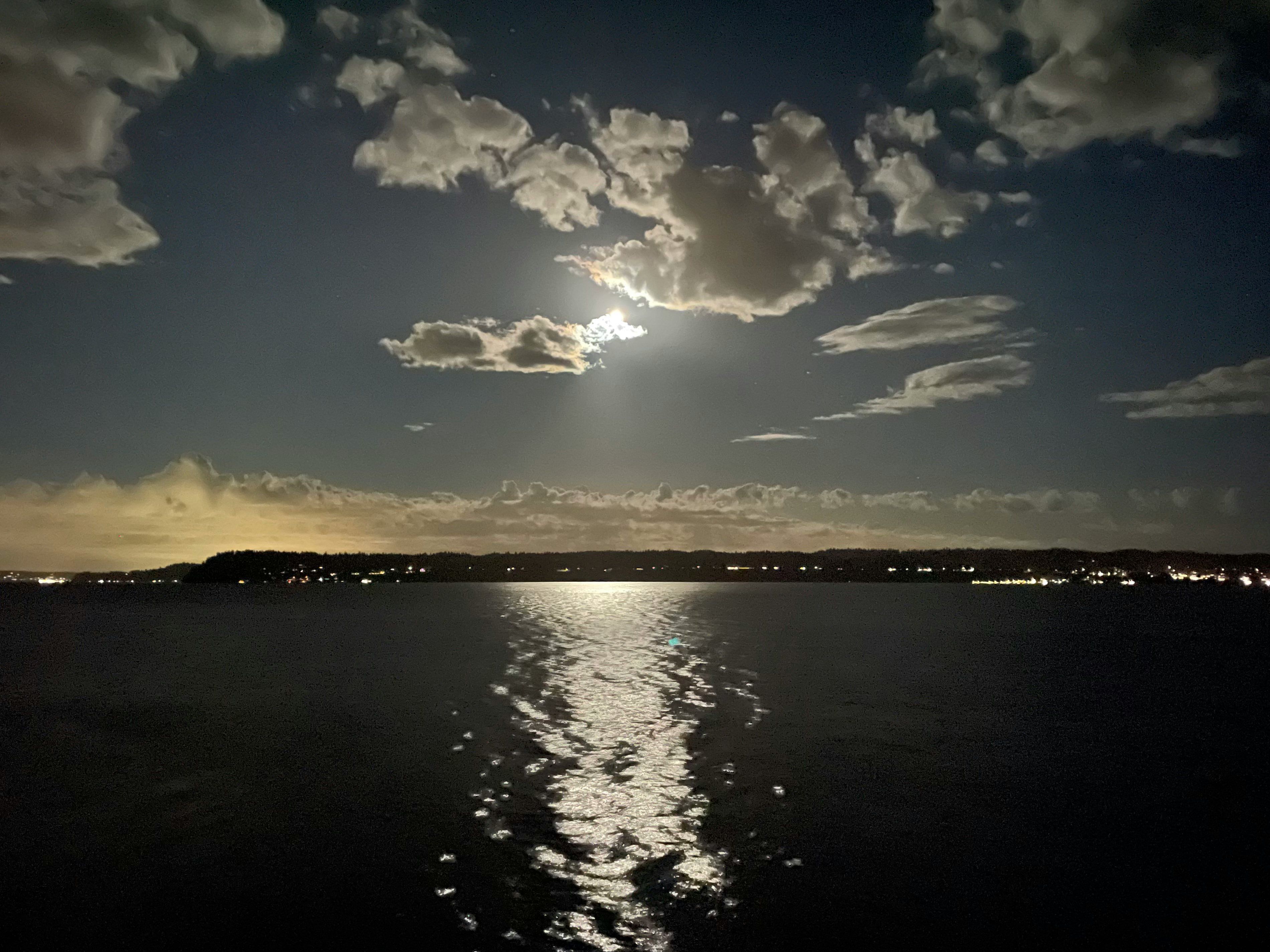 Click to View Larger