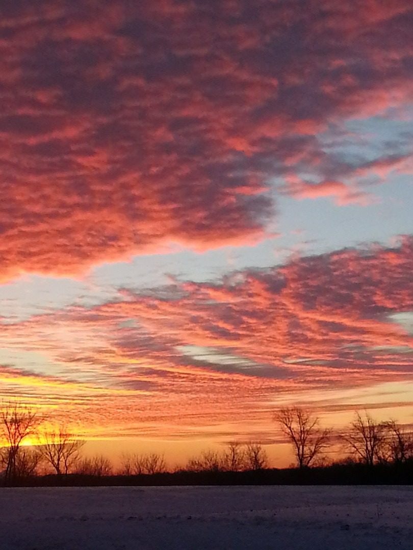 Click to View Larger