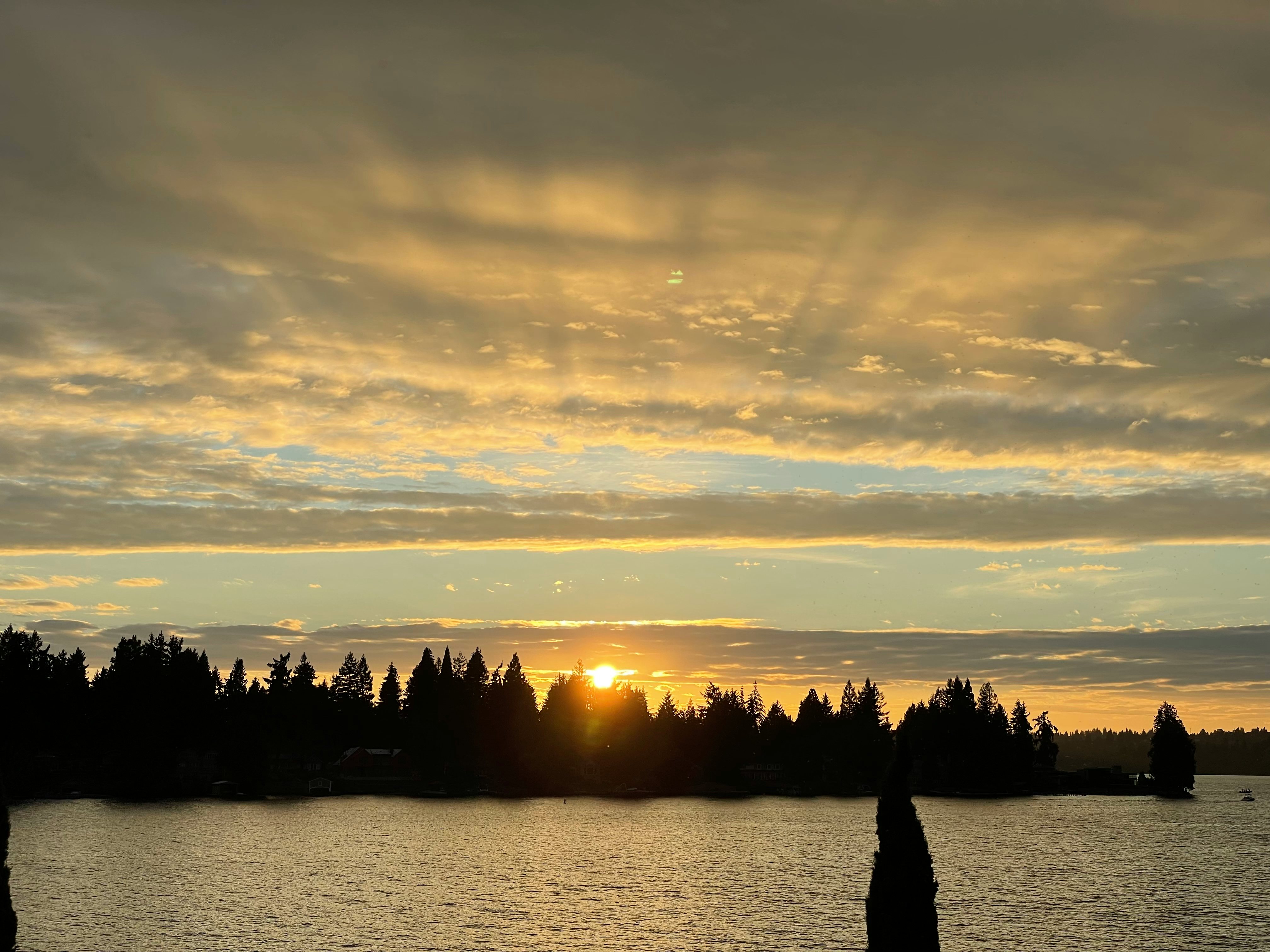 Click to View Larger