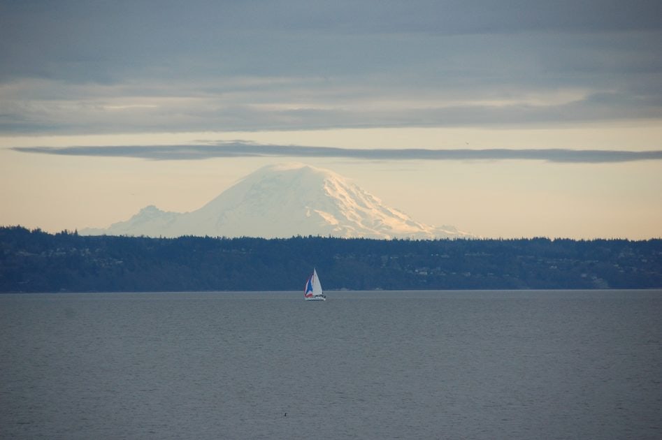 Click to View Larger