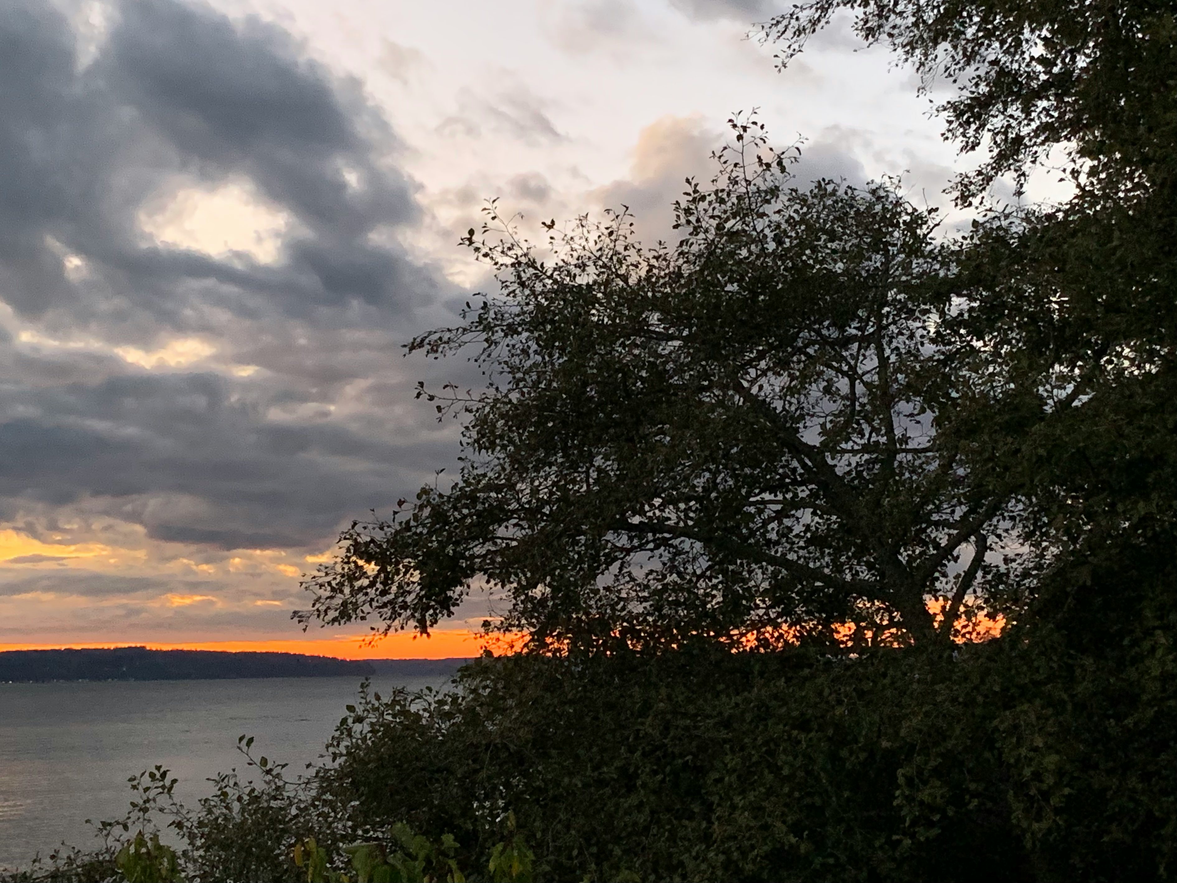 Click to View Larger