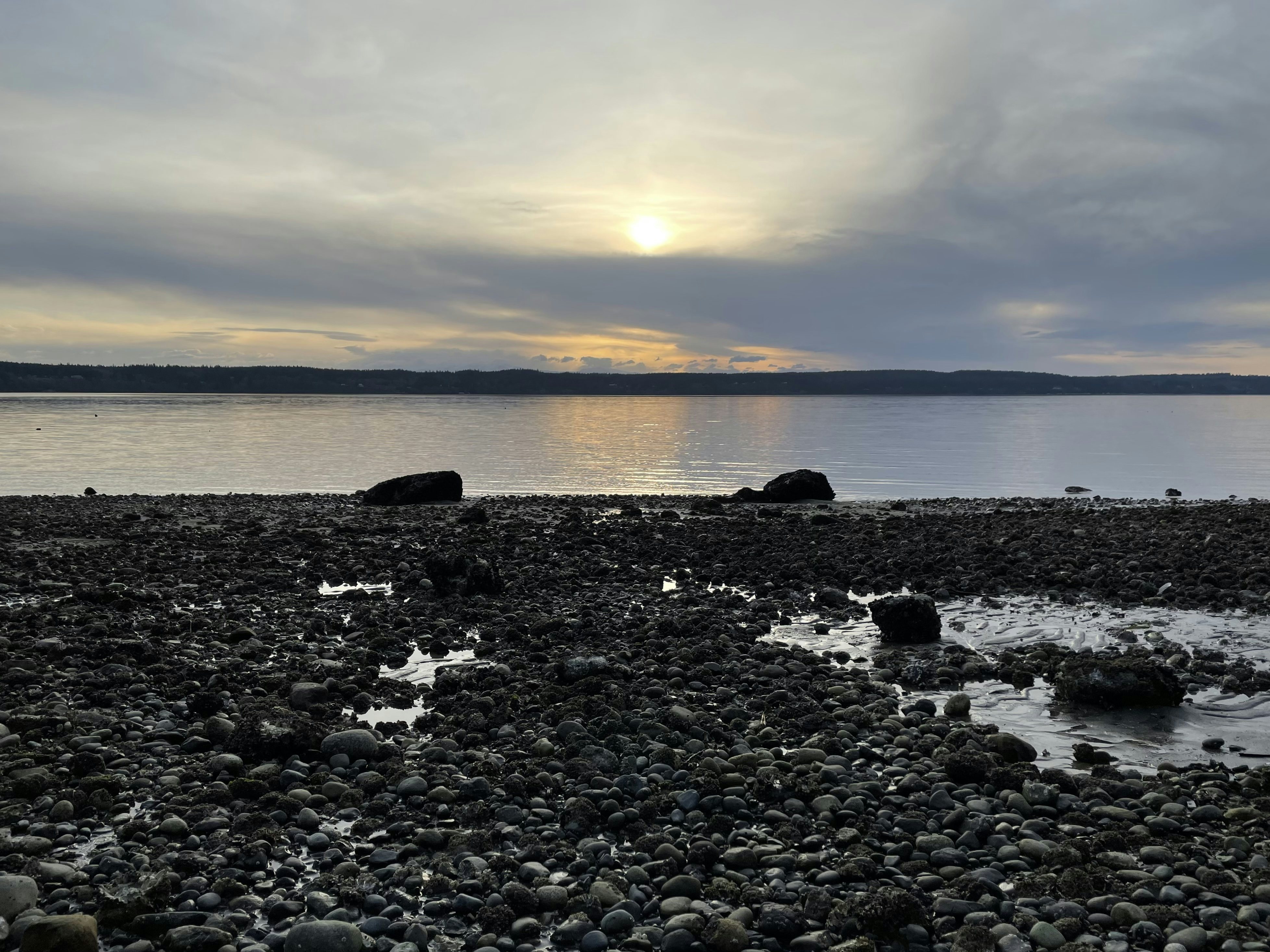 Click to View Larger