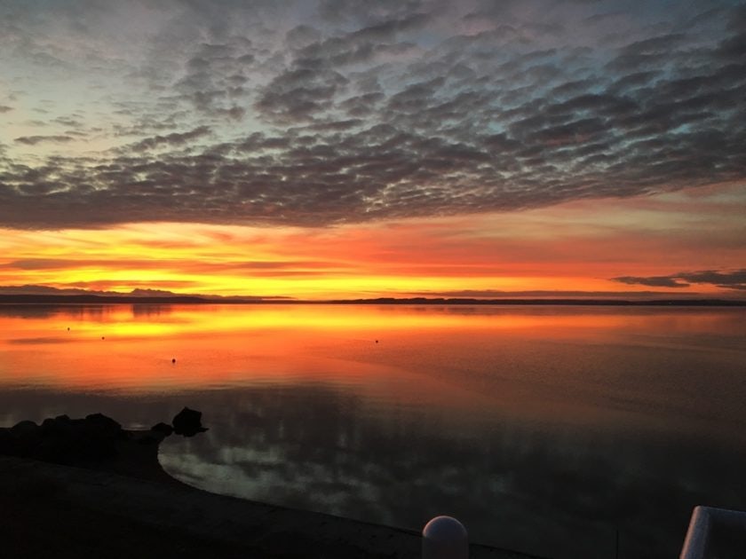 Click to View Larger