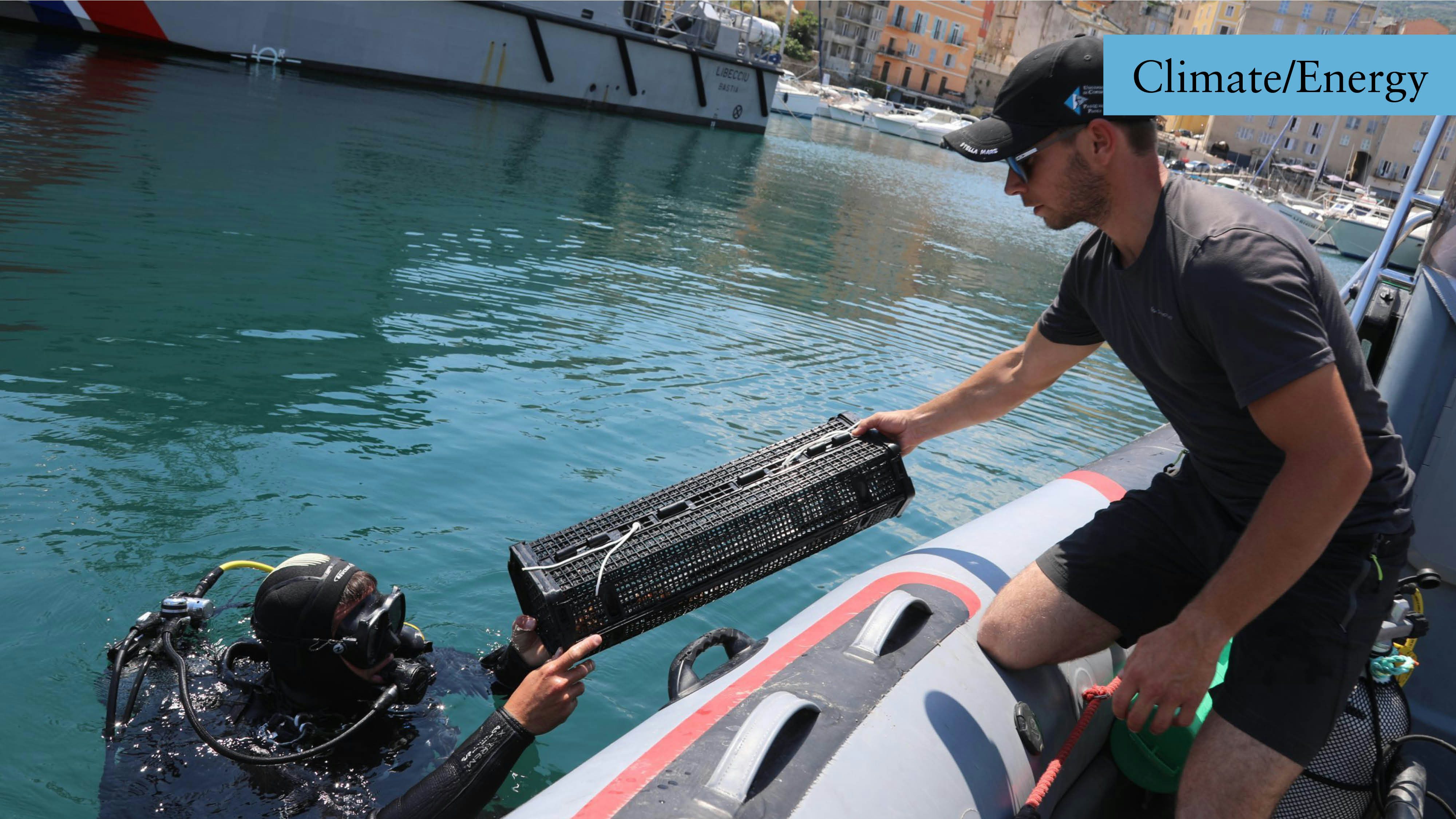 Click to View Larger