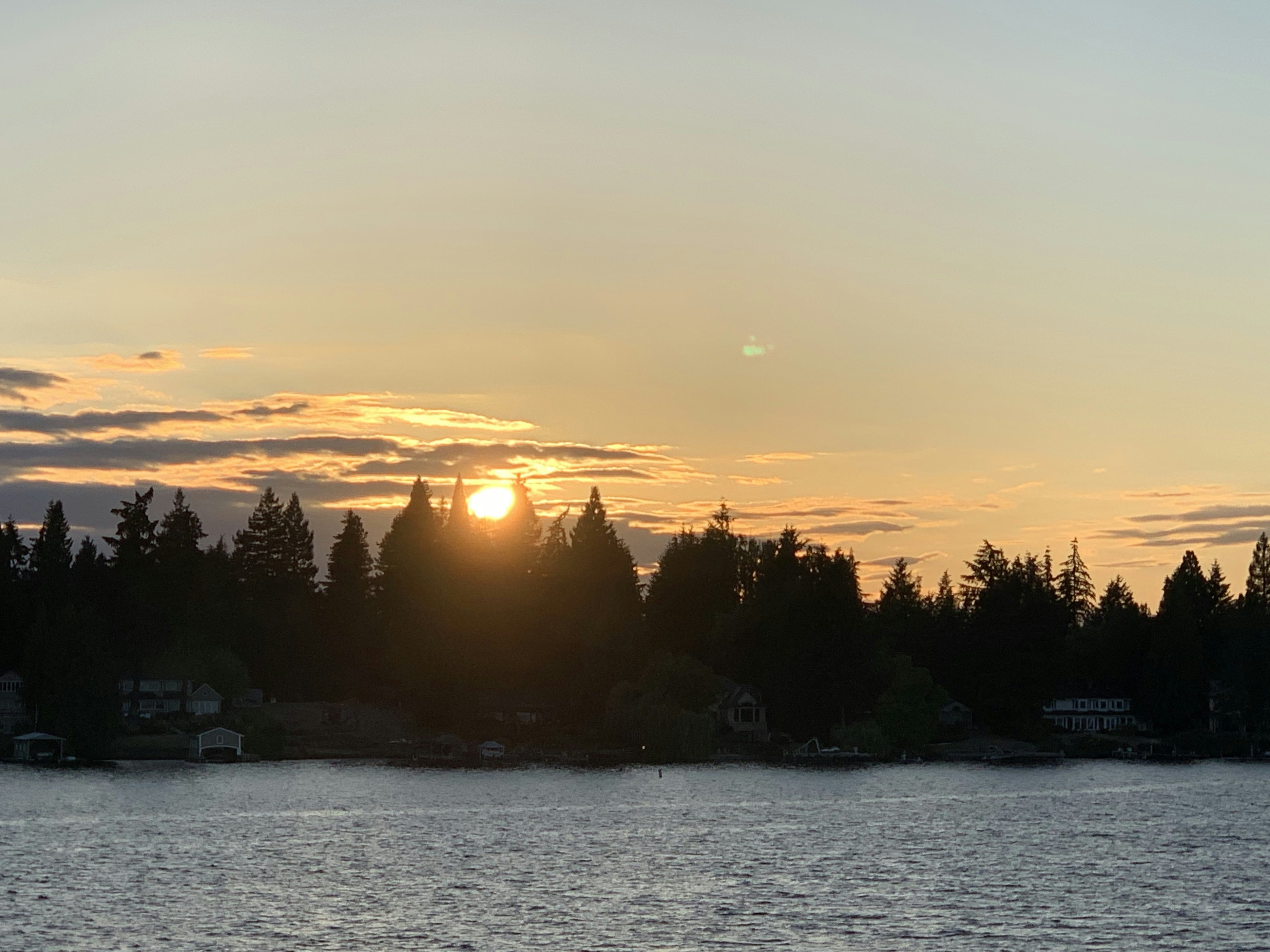 Click to View Larger