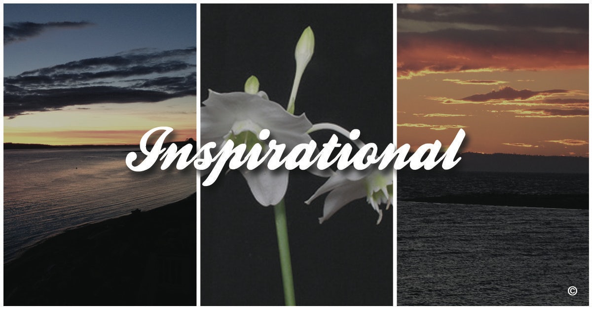 Click to View Larger