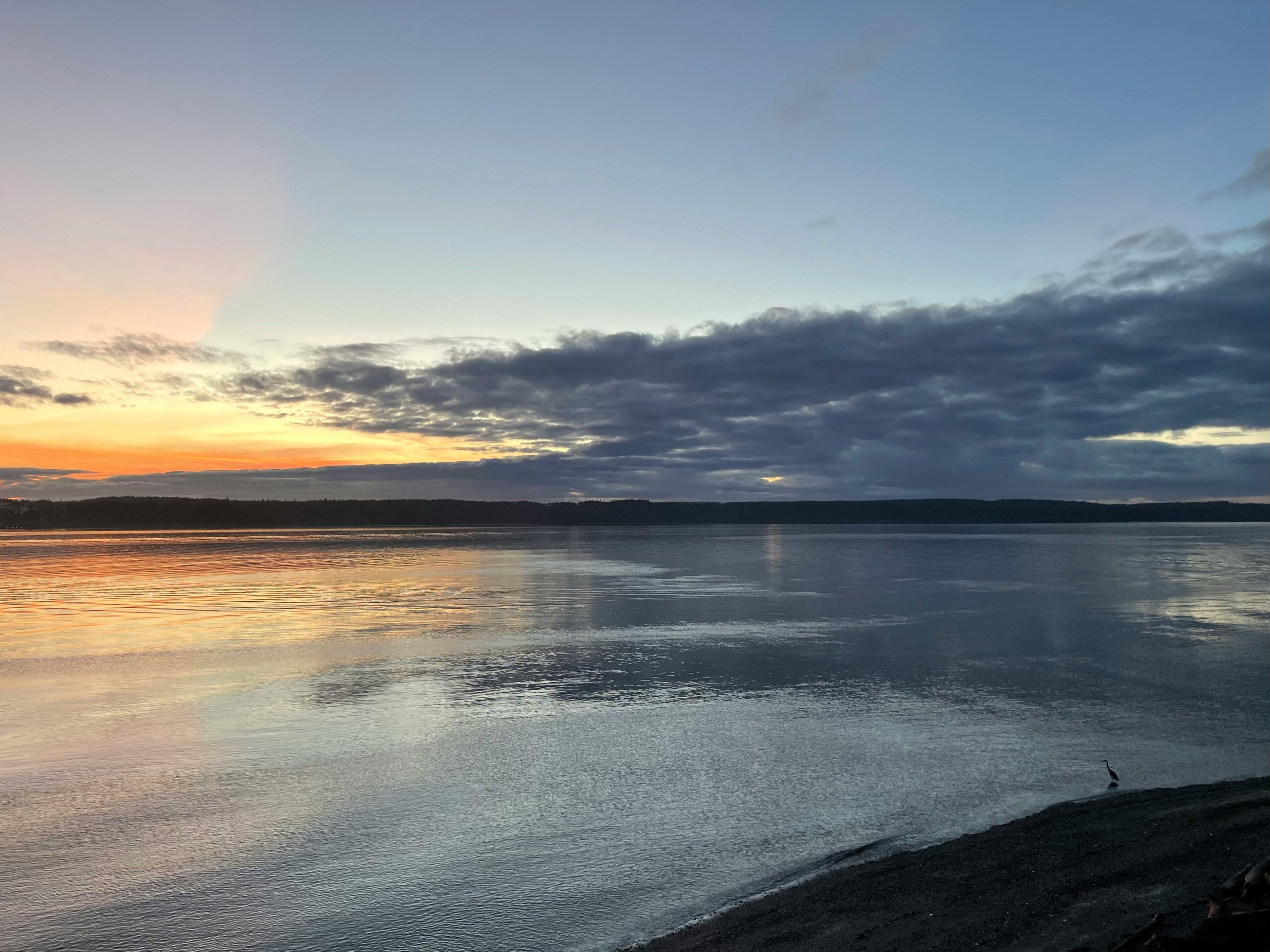 Click to View Larger