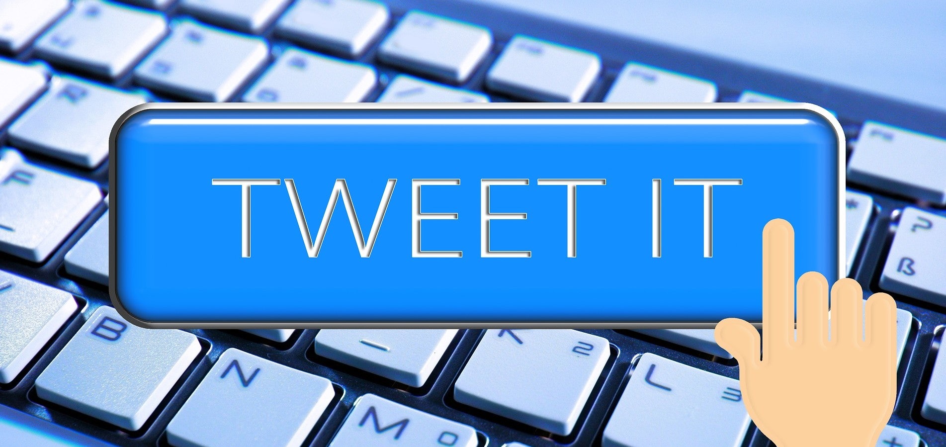 Click to View Larger