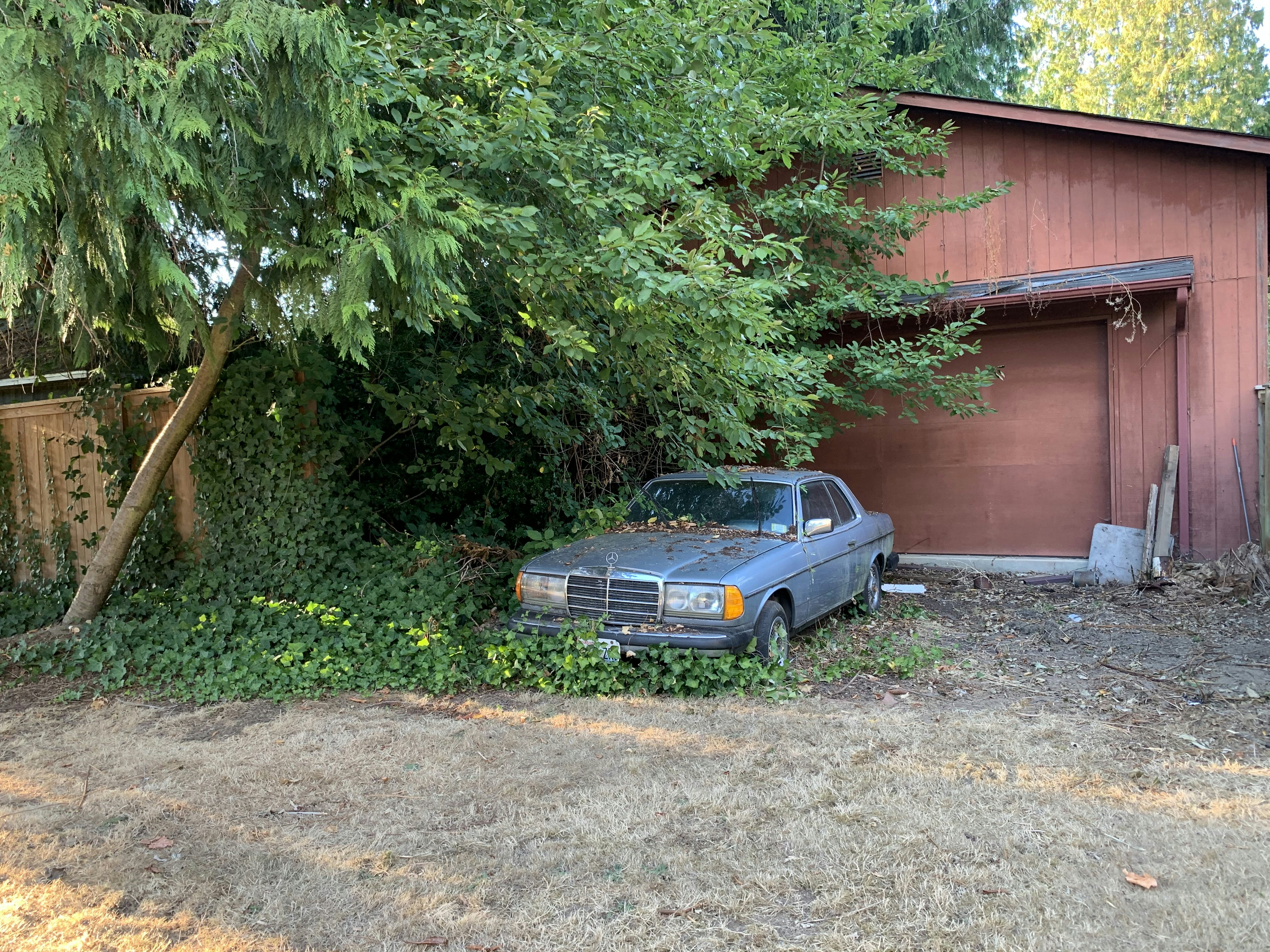 Click to View Larger