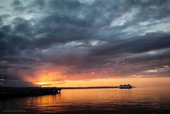 Click to View Larger