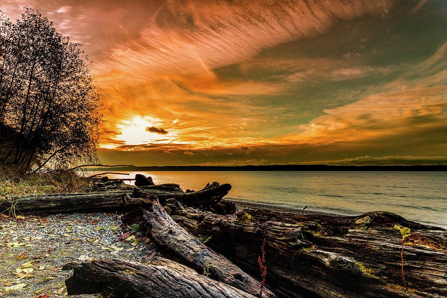 Click to View Larger