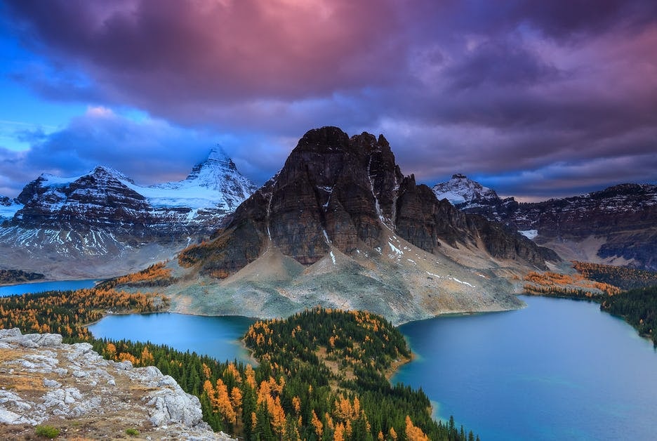 Click to View Larger