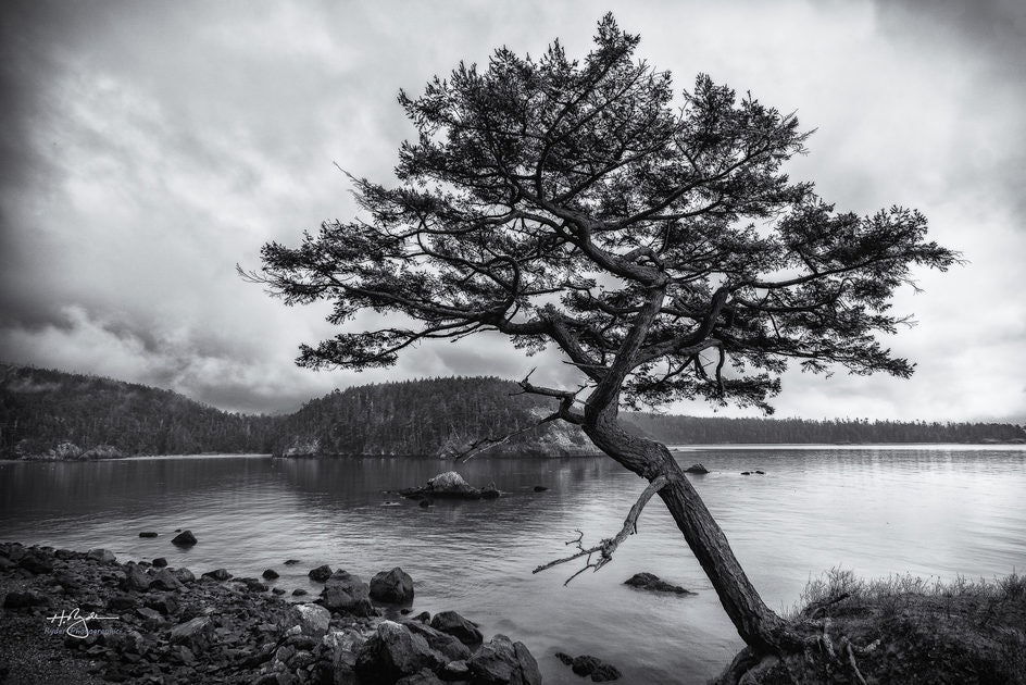 Click to View Larger