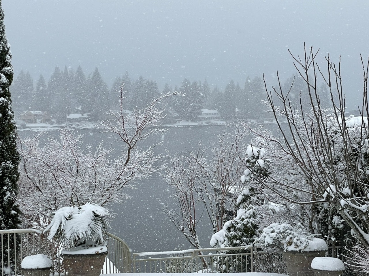 Click to View Larger