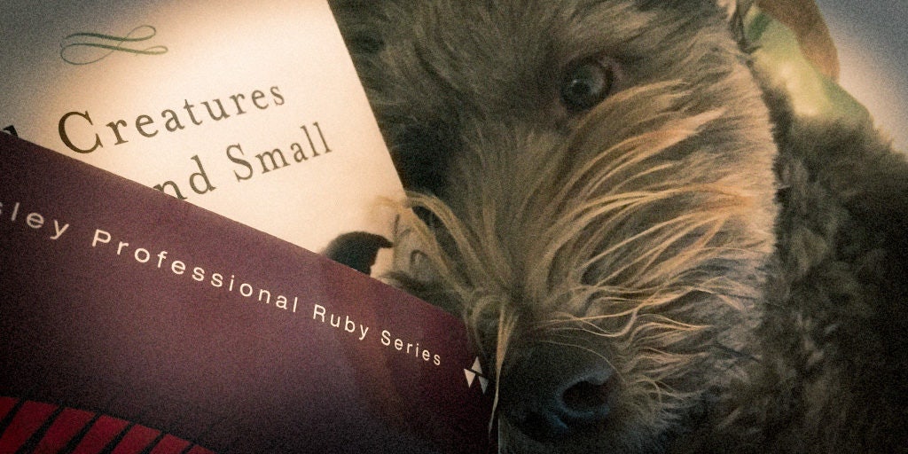 Click to View Larger