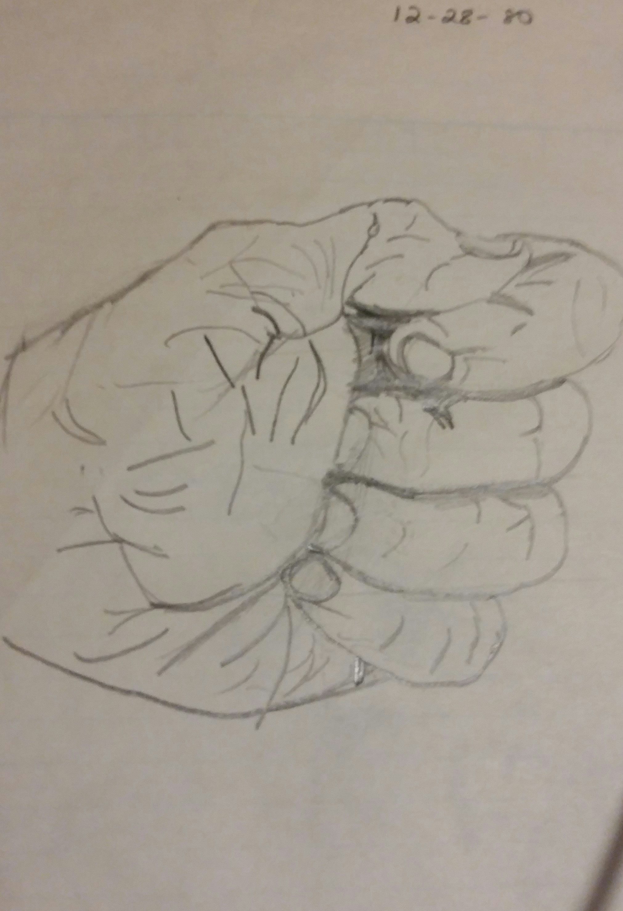 Click to View Larger