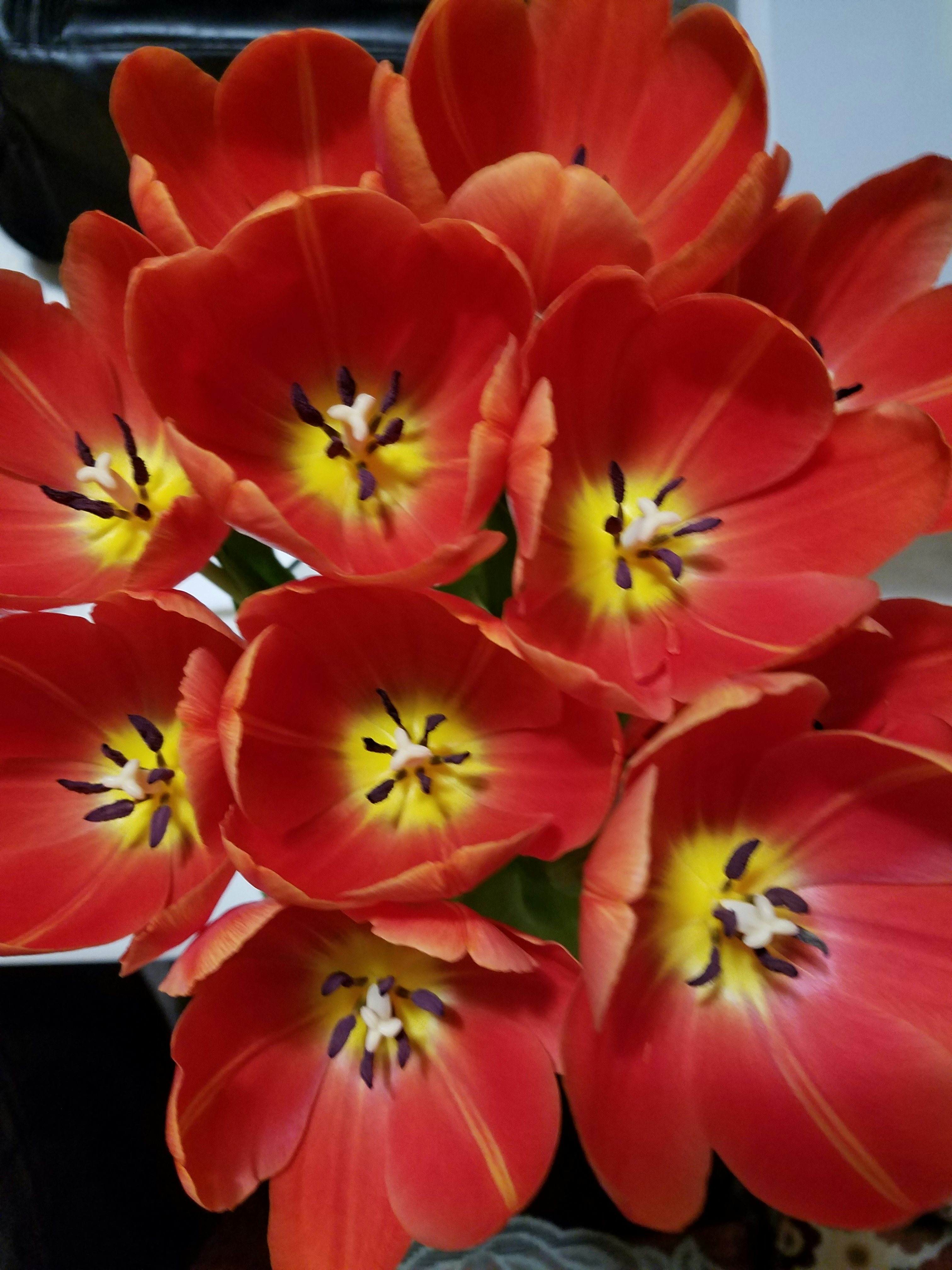 Click to View Larger