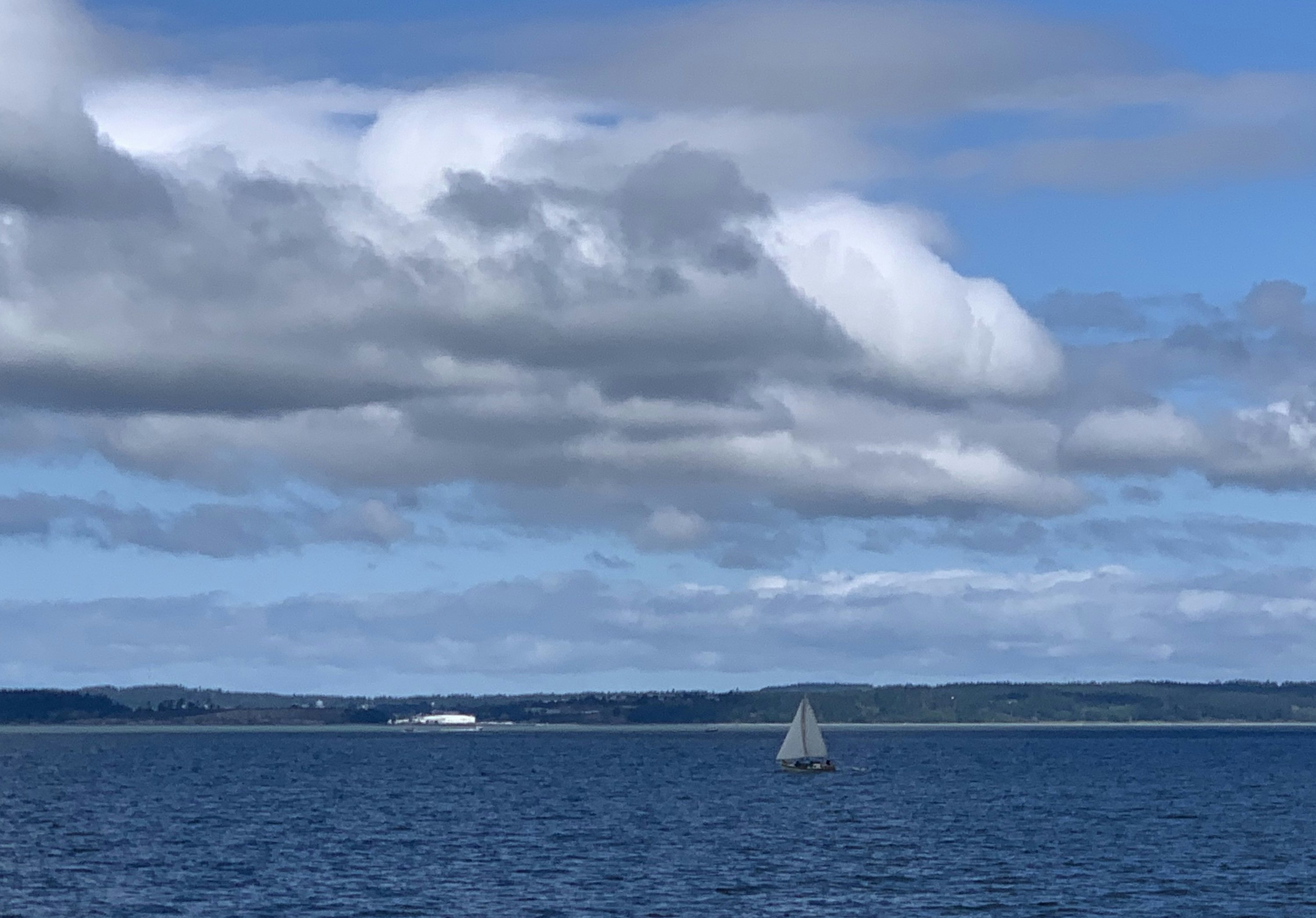 Click to View Larger