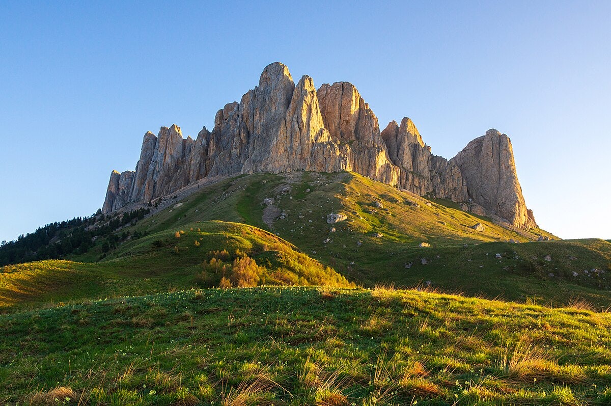 Click to View Larger