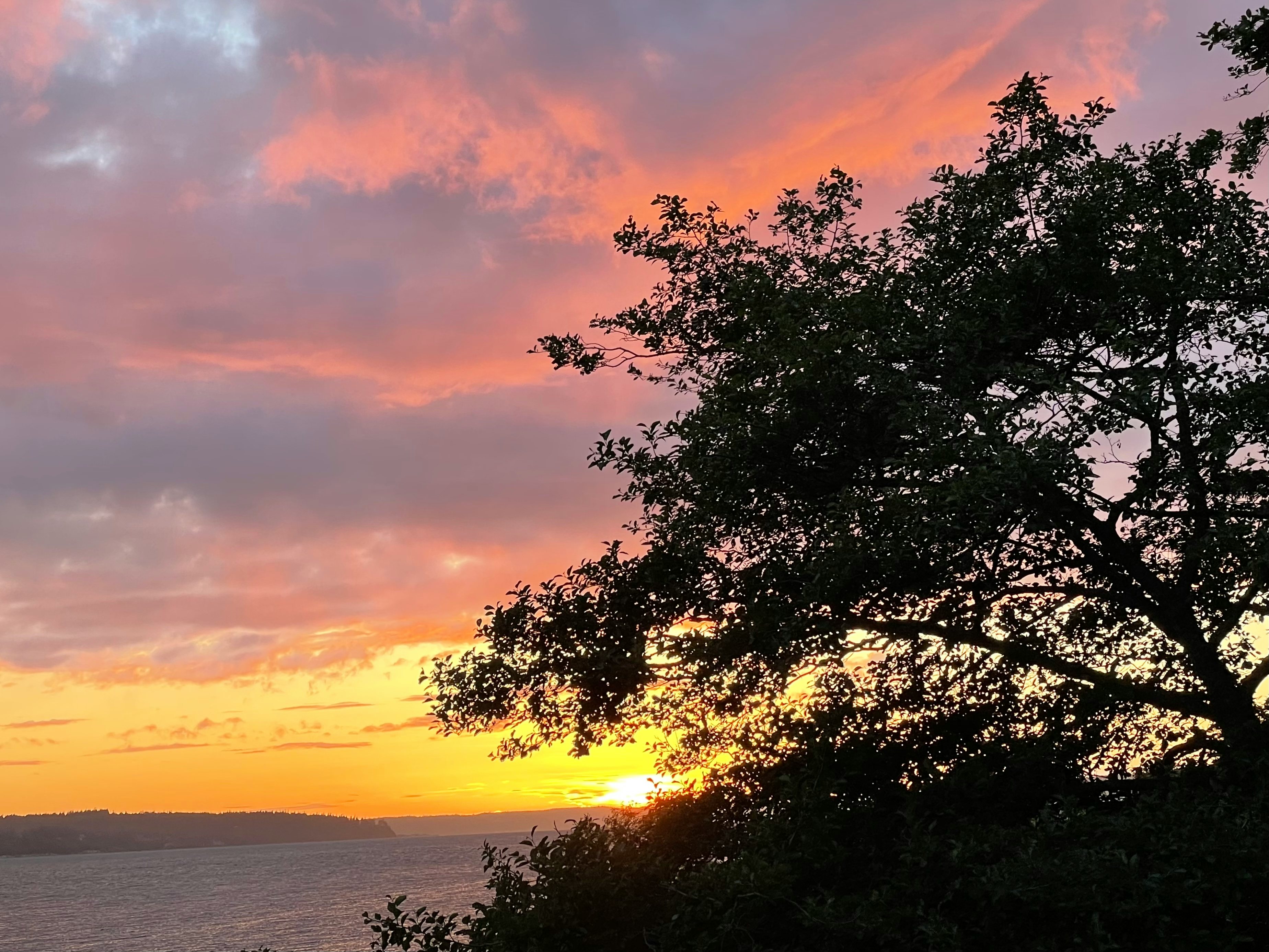 Click to View Larger