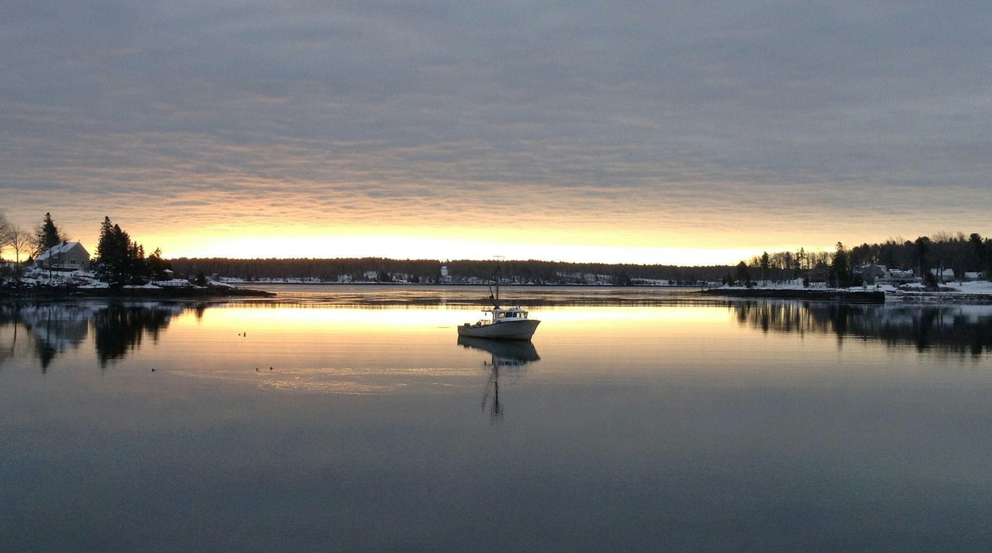 Click to View Larger