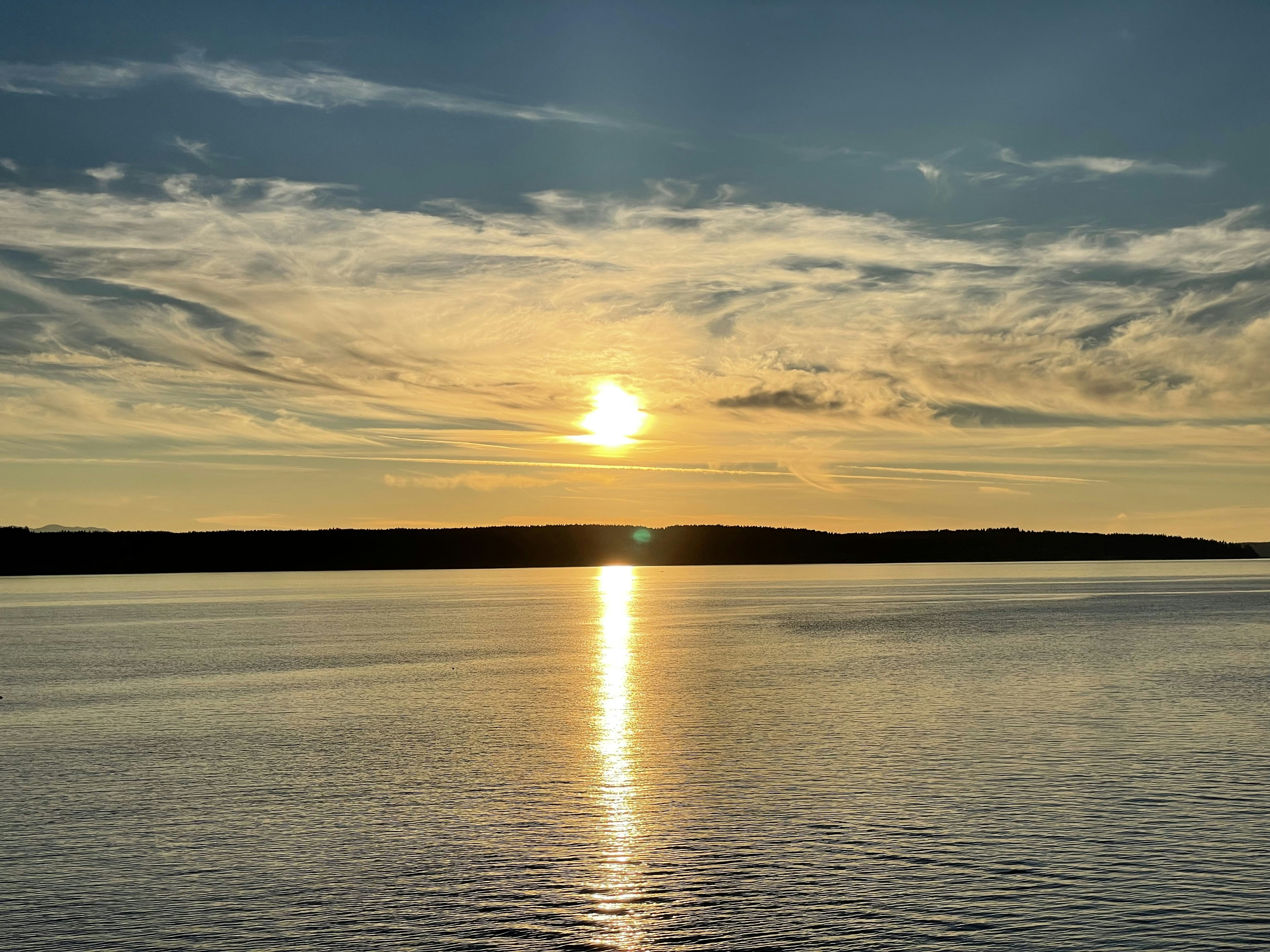 Click to View Larger