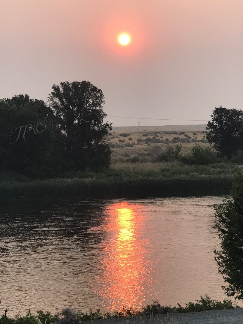 Click to View Larger