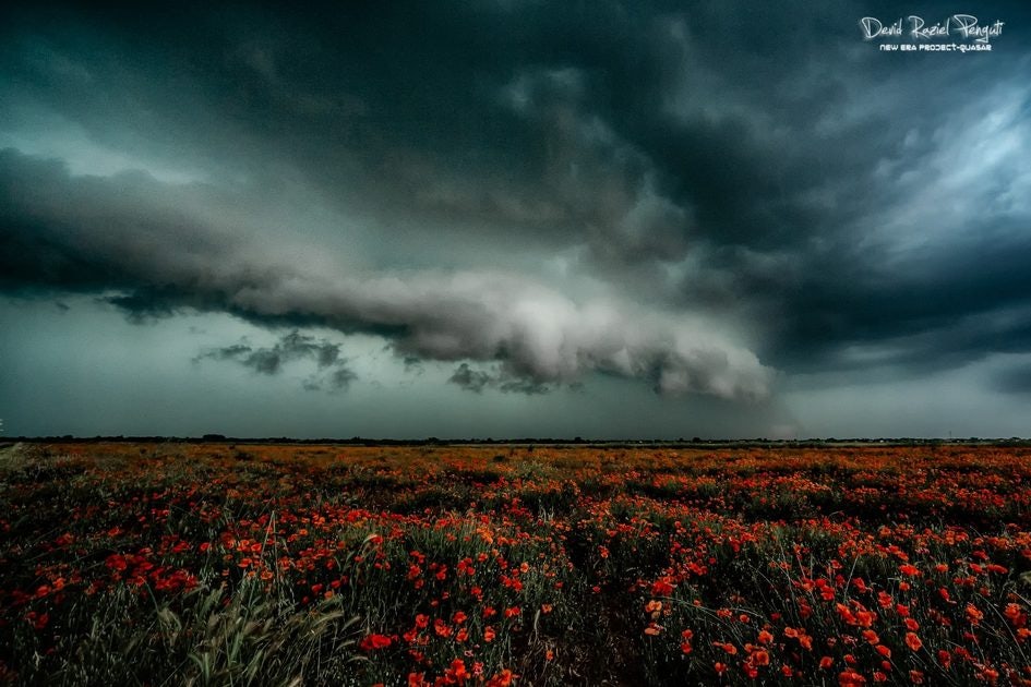 Click to View Larger