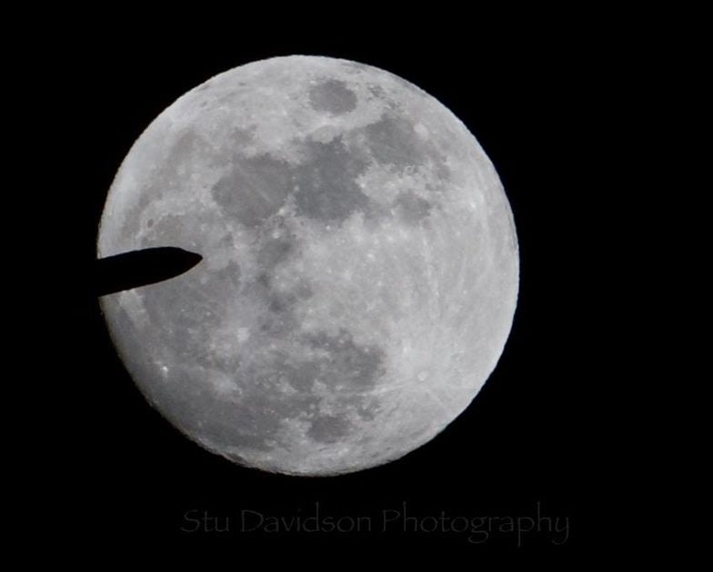 Click to View Larger