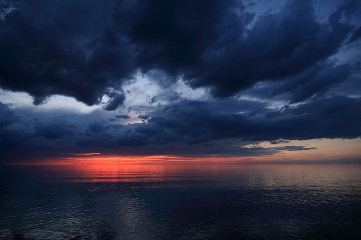 Click to View Larger