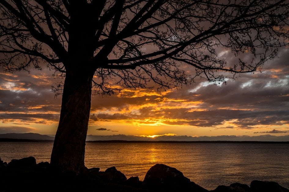 Click to View Larger