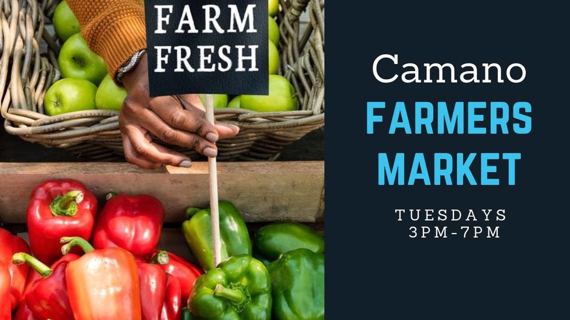 Click to View Larger