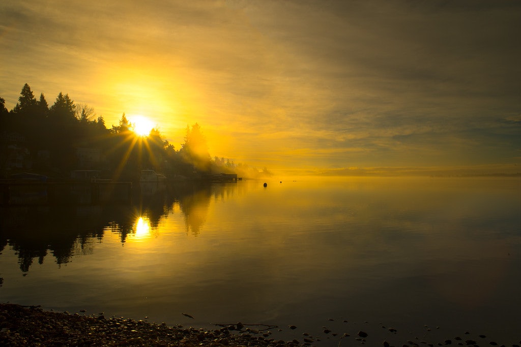 Click to View Larger