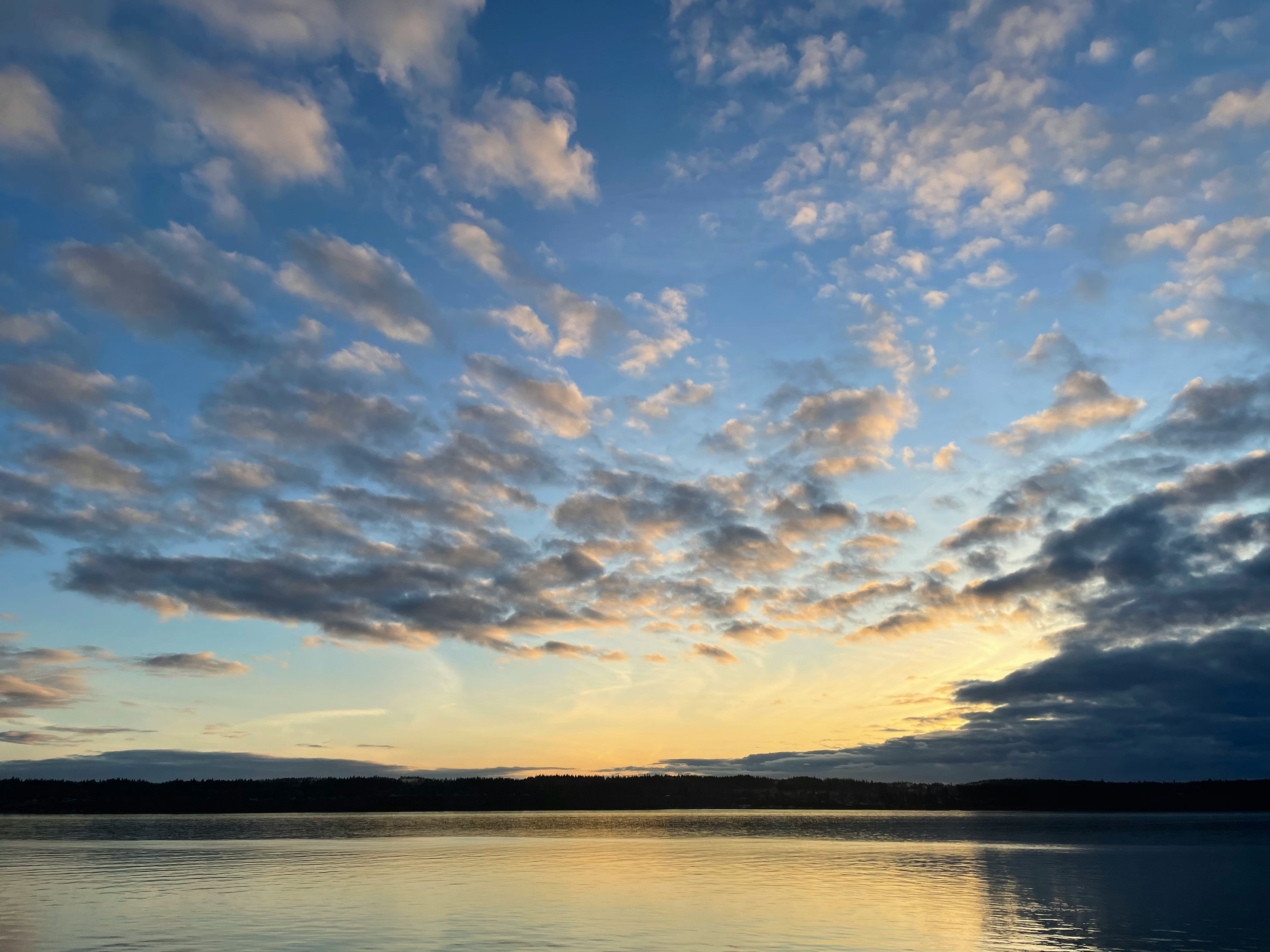 Click to View Larger