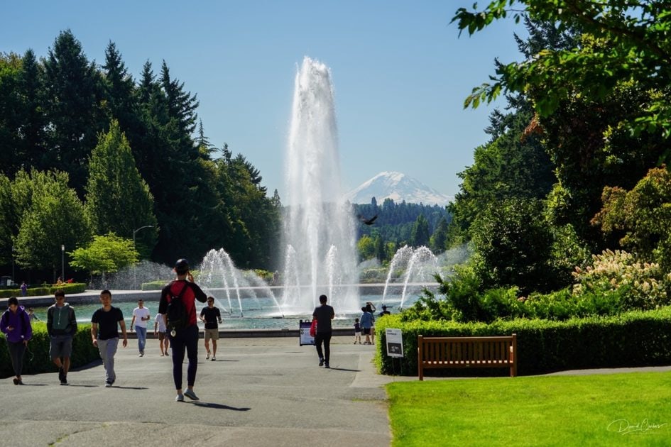 Click to View Larger