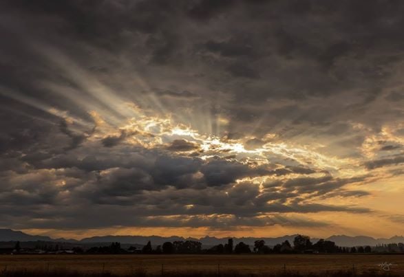 Click to View Larger