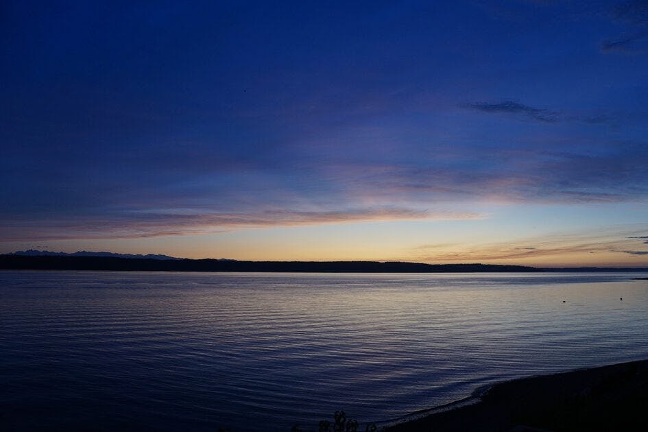 Click to View Larger