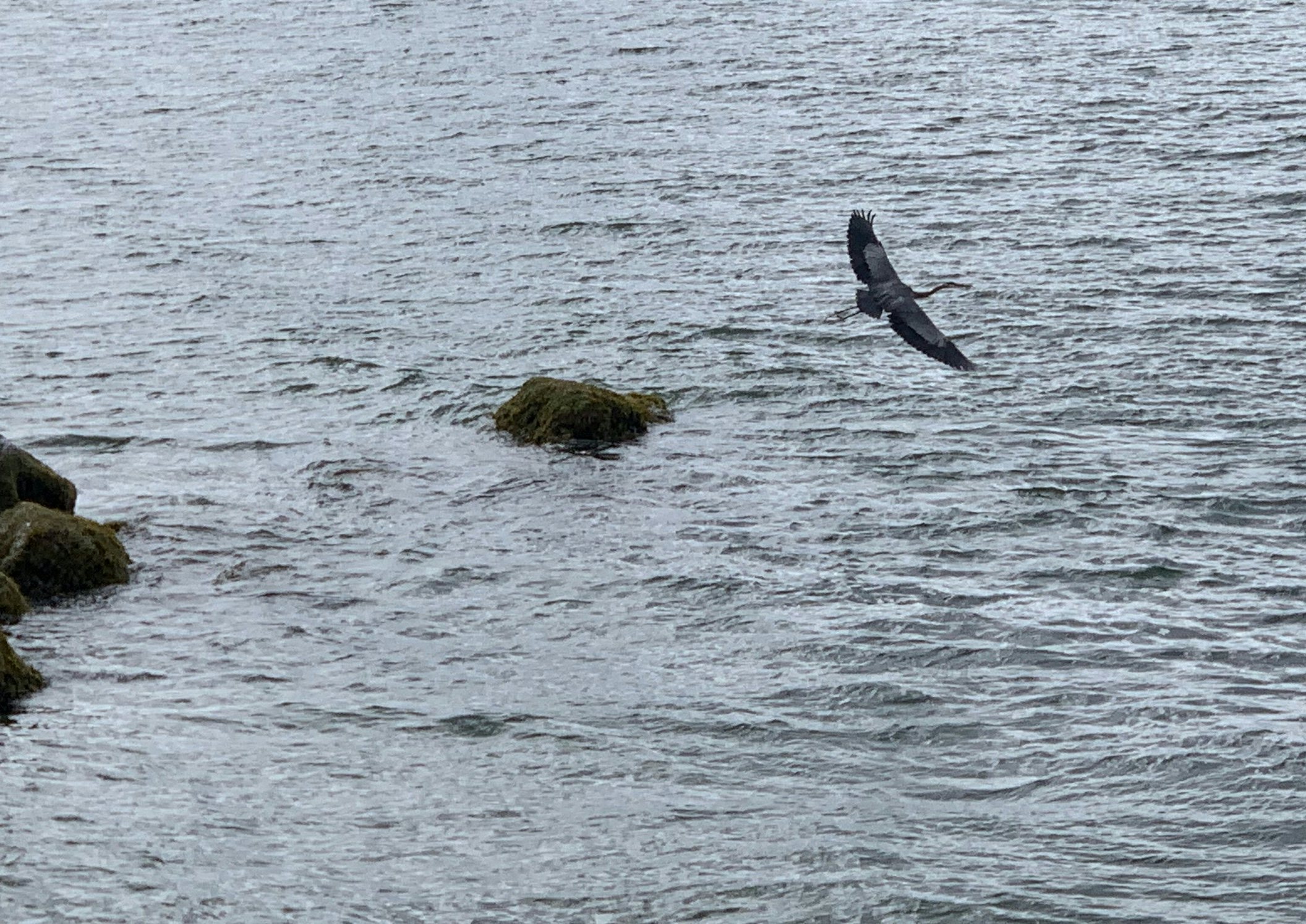 Click to View Larger