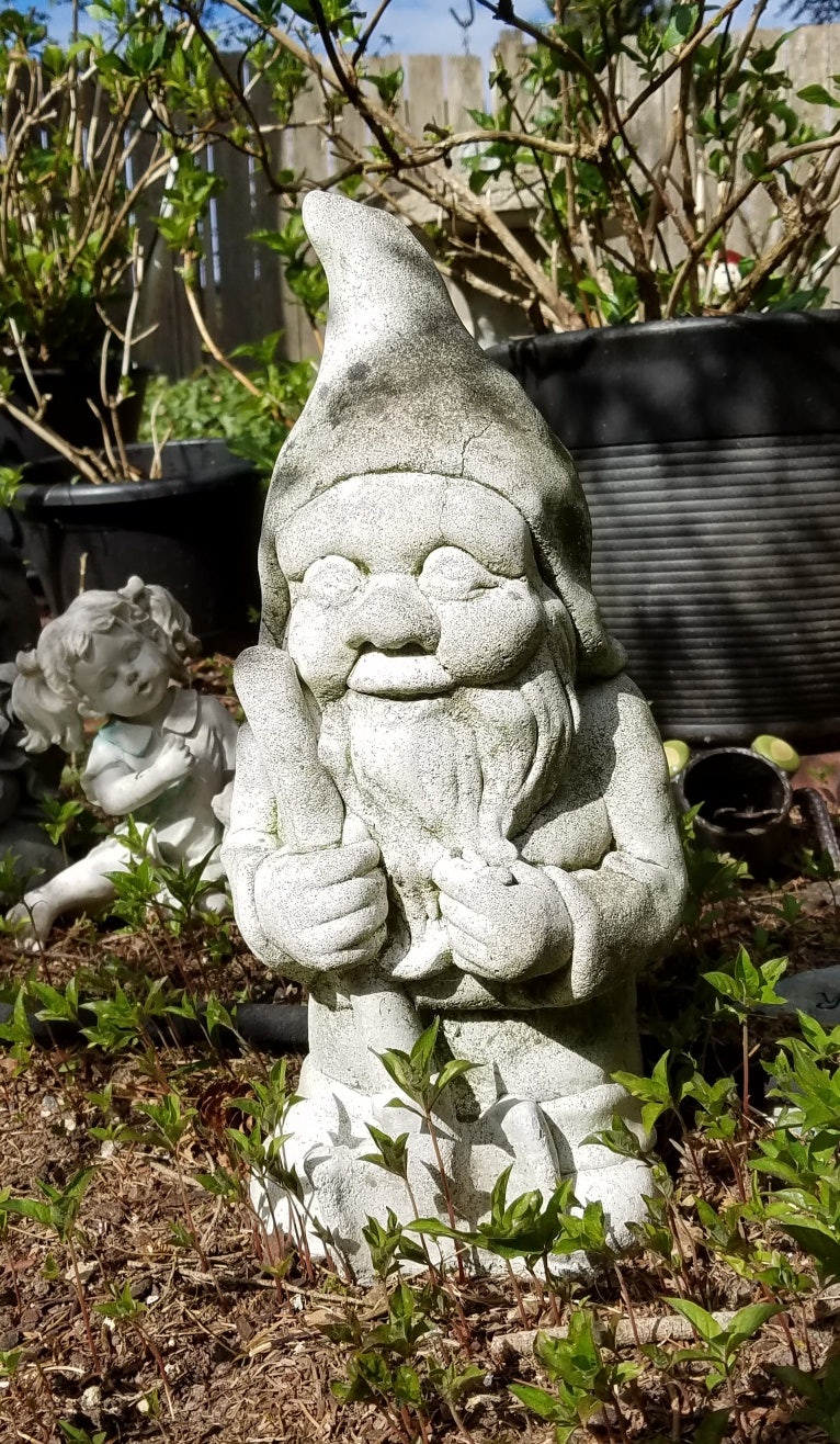 Click to View Larger